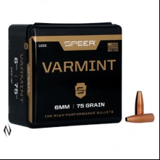 6mm .243 75gr HP 100pk